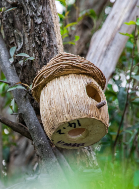 花园庭院子装饰园艺户外别墅树脂创意鸟J窝鸟屋园林景观树上挂件