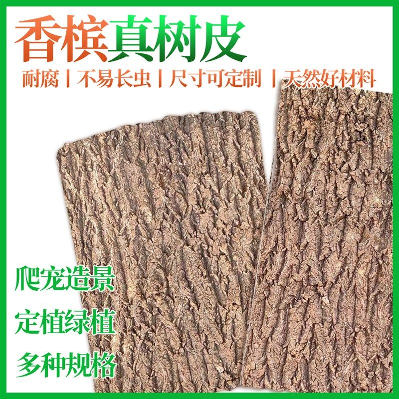 香槟树皮鱼缸背景板天然真树皮造景装饰绿植墙爬宠躲避箱软木树皮,淘宝优惠券,粉丝福利购,淘宝优惠卷