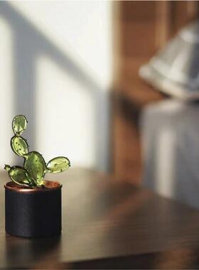 咖啡仙人掌灵感植物摆件 玻璃盆栽家居绿植装饰桌面布置精致礼物
