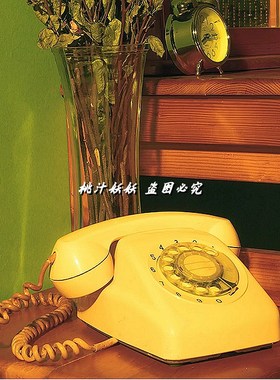 复古怀旧老物件布景装饰摆件老式壁挂拨盘按键R电话手摇胶木电话