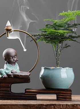 速发禅四文竹植物盆栽室内养好意季常青景观竹子小花卉办公室桌面