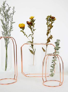 北欧金属铁艺水培容器玻璃试管花瓶干花插花创意家居客厅简约摆件