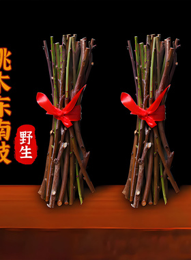 【已做祝福】镇宅老桃木树枝东南枝搬家乔迁摆件儿童婴儿宝宝压惊