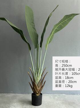 好货北欧网红假绿植盆栽仿真植物旅人蕉芭蕉树盆景大型室内橱窗假