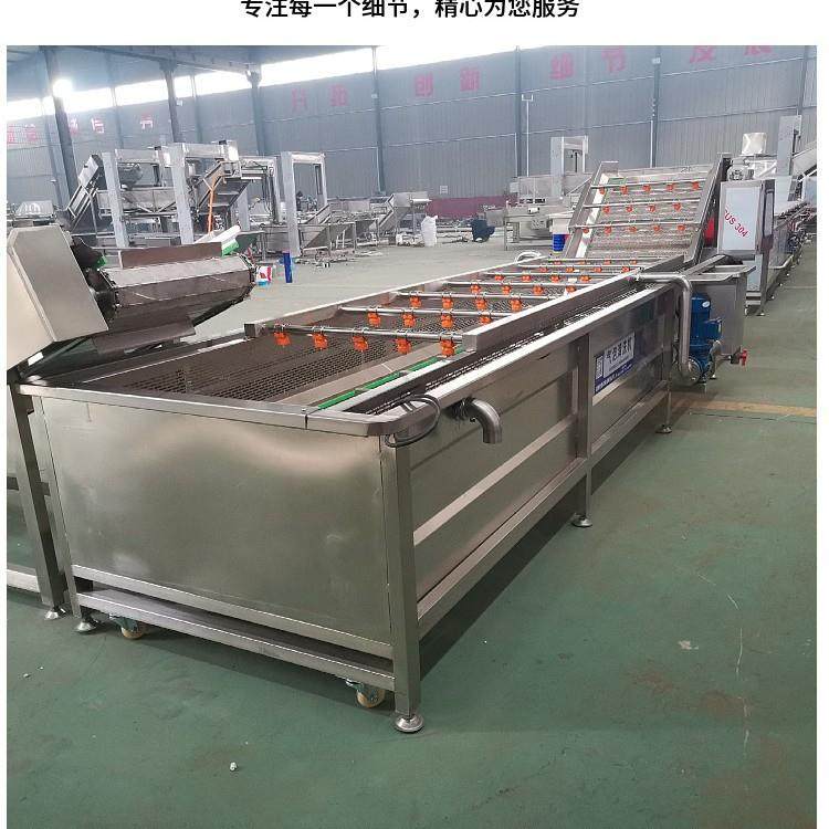 全自动大型商用连续式果疏洗菜机油麦菜莴苣小型果蔬清洗机,淘宝优惠券,粉丝福利购,淘宝优惠卷