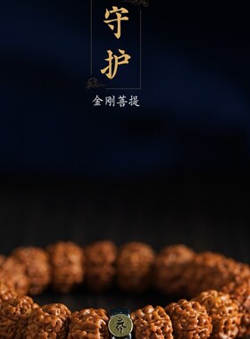 核桃文玩手串女男盘玩原籽金刚菩提子生肖本命佛檀木佛珠手链