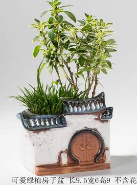 极速l大号宅门新中式小房子水族养鱼造景摆件饰书办公室装工箱房