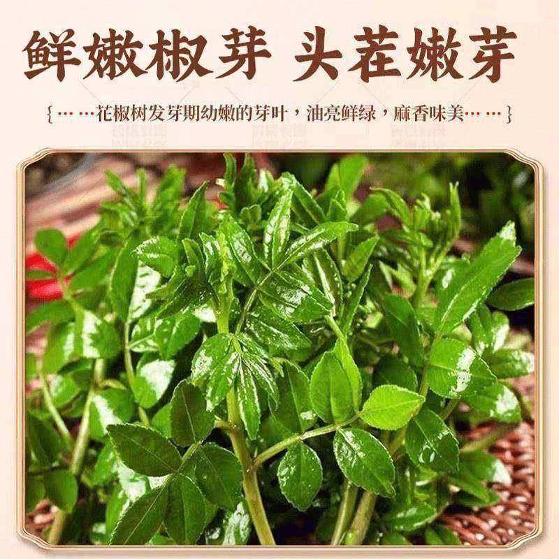 2025年新鲜花椒芽酱花椒酱新鲜麻椒叶麻辣即食拌饭面酱下饭咸菜,淘宝优惠券,粉丝福利购,淘宝优惠卷