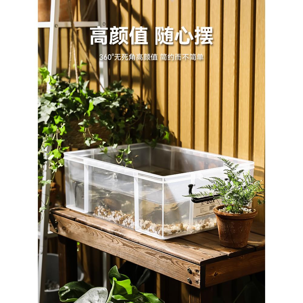 乌龟周转箱家用过滤造景塑料养龟饲养缸透明生态箱生物养殖箱子 - 图0