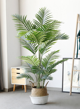 好货散尾葵绿植仿真客厅摆件大型落地植物假盆栽室内现代ins风装
