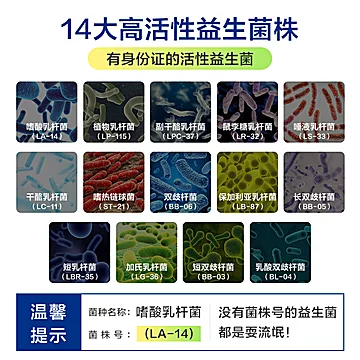 PipingRock益生菌胶囊60粒*3瓶[20元优惠券]-寻折猪