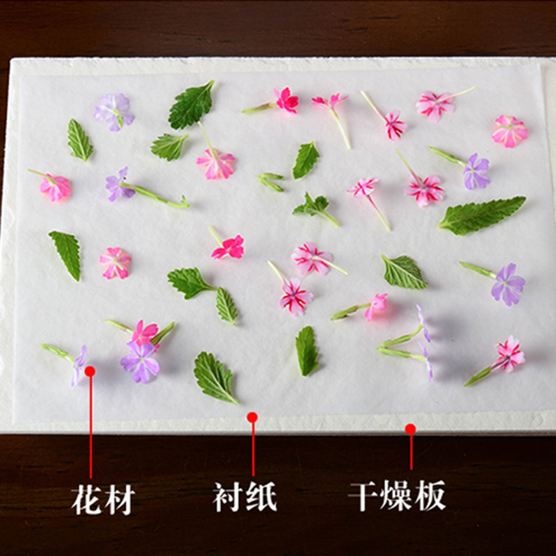 押花器手工diy干花制作工具材料压花板专用配件 干燥板吸水纸衬纸 - 图1