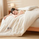Hongdou flagship Xinjiang cotton antibacterial quilt