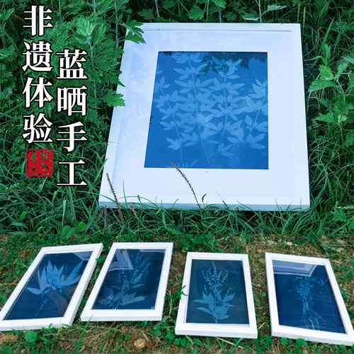 母亲节蓝晒液diy套装材料包ab液感光工具书签纸扇帆布袋拓印颜料 - 图1