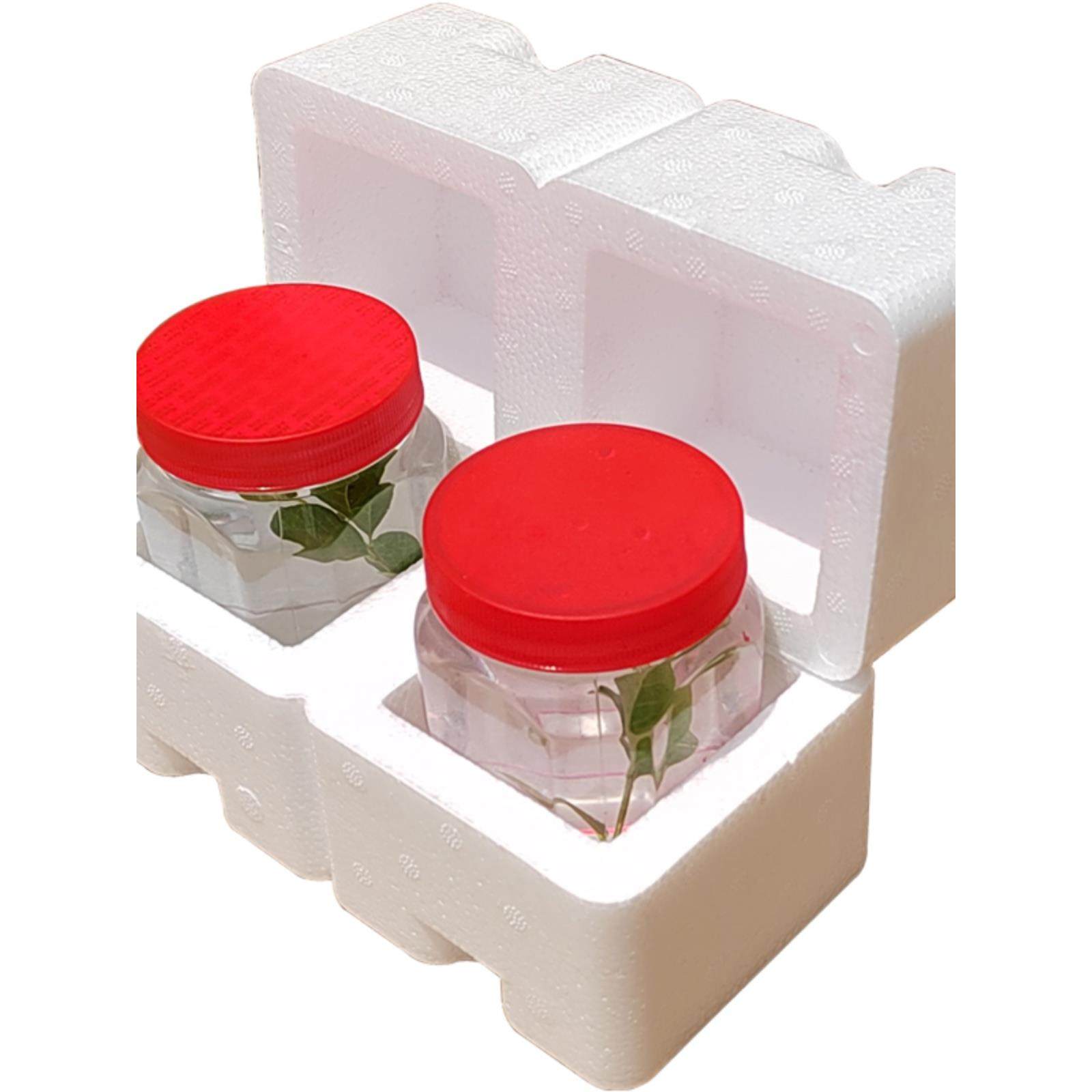 380ml方形蜂蜜玻璃瓶快递专用泡沫盒 防摔碎防撞震打包保护包装箱,淘宝优惠券,粉丝福利购,淘宝优惠卷