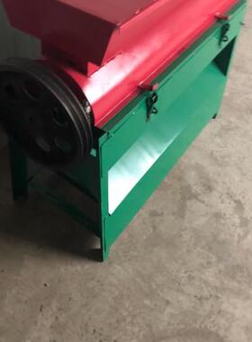 青核桃剥皮机山核桃去皮机全自动小型核桃剥皮清洗一体机