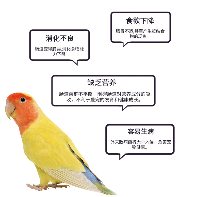 AITAR爱特尔鹦鹉益生菌活菌粉助消化鸟用肠炎腹泻拉稀积食不消化,淘宝优惠券,粉丝福利购,淘宝优惠卷