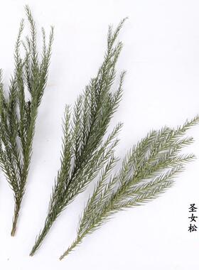 干花天竺少女森系圣诞树装饰干花束diy情人节花束花材装饰