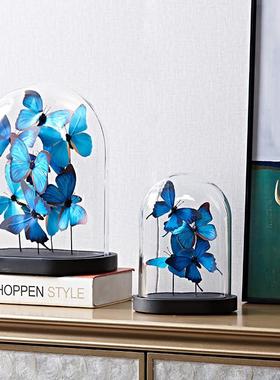 蓝色蝴蝶摆件玻璃罩客厅橱柜软装公司高级感小众工艺品家居装饰品
