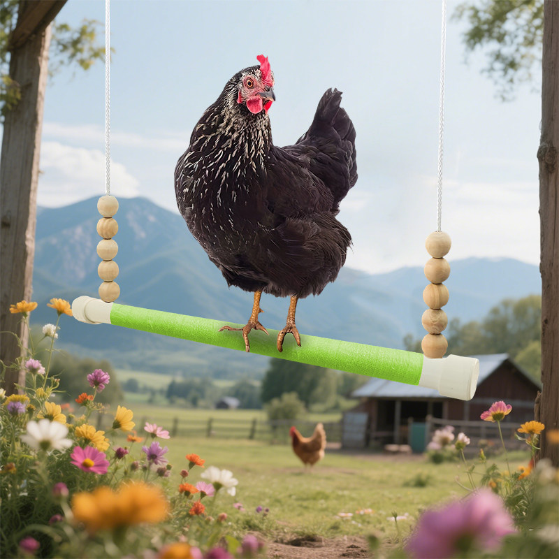 农场家禽宠物鸡鸭栖息木质多彩绷带悬挂站杆,淘宝优惠券,粉丝福利购,淘宝优惠卷