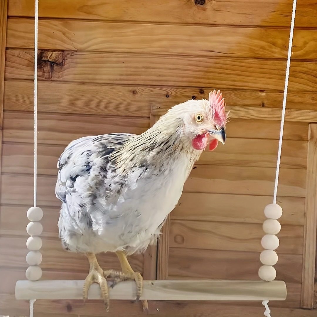 农场家禽宠物鸡鸭栖息木质多彩绷带悬挂站杆,淘宝优惠券,粉丝福利购,淘宝优惠卷