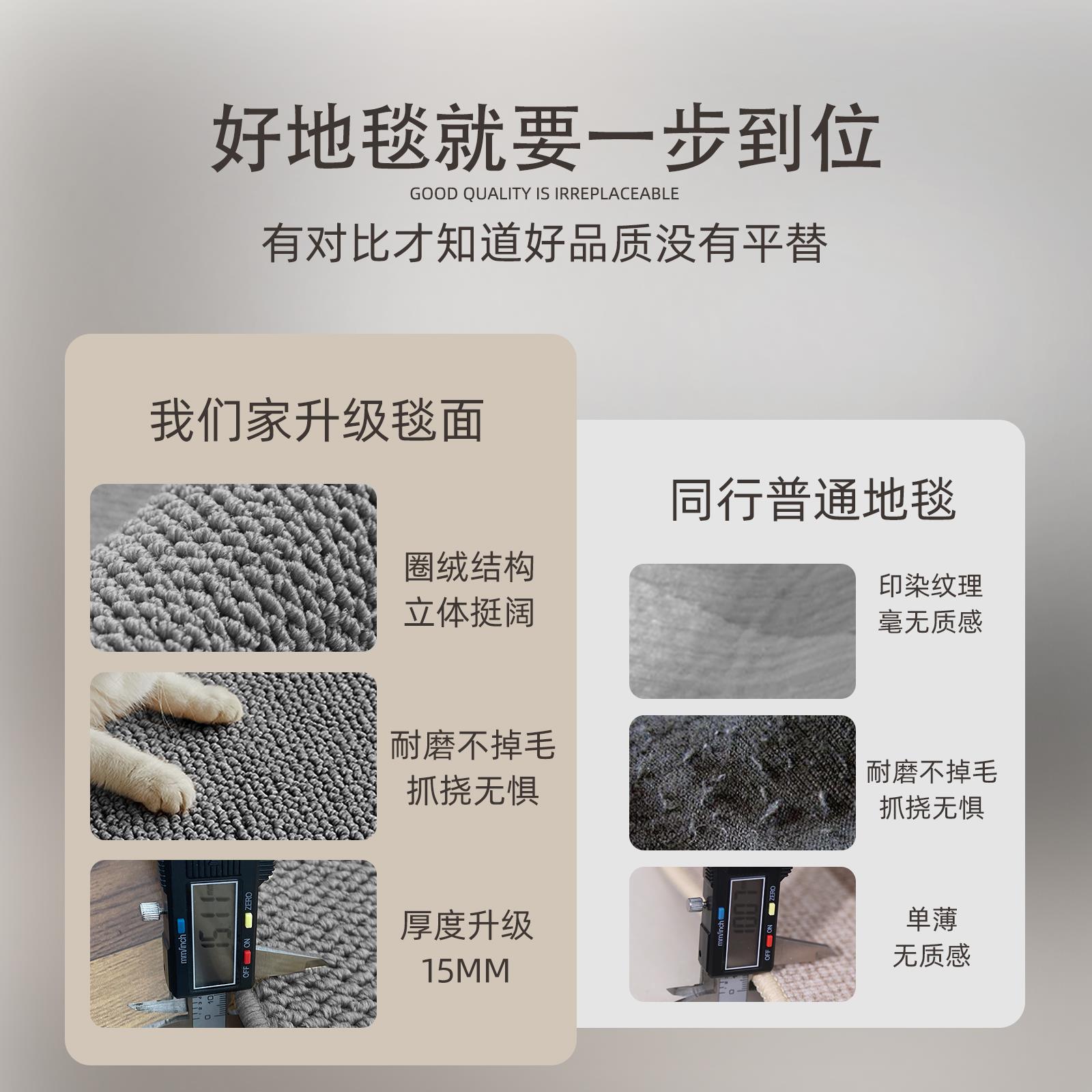 入户地垫2025新款高级感门口脚垫彷剑麻家用耐脏防滑进门玄关地毯 - 图1