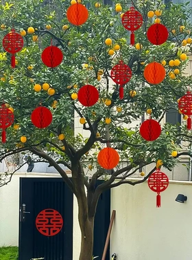 结婚院子绿植挂饰婚礼盆栽植物