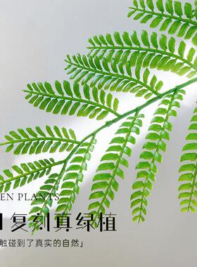 蓝色的花楹彷真绿色植物高端轻奢室内客厅装饰落地大摆件彷生盆栽