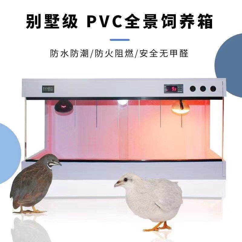 pvc爬虫爬宠鬃狮饲养箱乌龟蜥蜴蛇陆龟宠物恒温加温芦丁鸡保温箱,淘宝优惠券,粉丝福利购,淘宝优惠卷