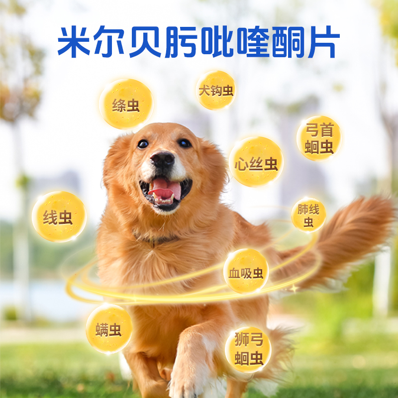 宠轻松 米尔贝肟吡喹酮片 猫咪狗狗驱虫药体内吸虫绦虫鞭虫眼线虫 - 图2
