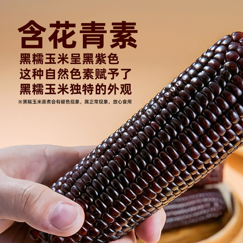 东北黑糯玉米粘黏大棒真空包装低脂粗粮黄糯玉米非即食新鲜甜玉米