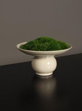 新中式永生苔藓植物盆景微景观书房样板房桌面摆件花艺盆栽