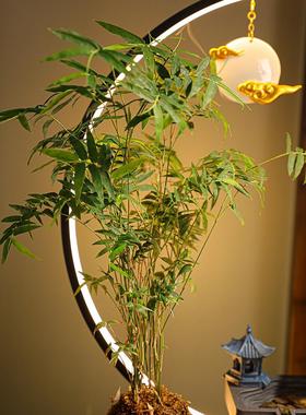 弗朗德流水摆件循环水招财景观鱼缸创意家居生财客厅开业乔迁礼品