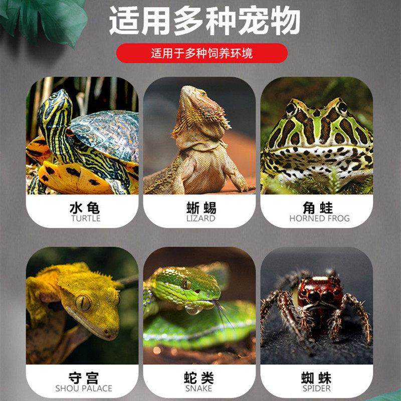 宠物蛇饲养套装爬虫箱雨林缸造景紫陆龟蝎蜥蜴守宫蛇苗繁殖保温箱,淘宝优惠券,粉丝福利购,淘宝优惠卷