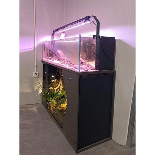 客厅中大型乌龟金鱼一体混养水陆两栖溪流缸底滤免换水造景生态缸 - 图0