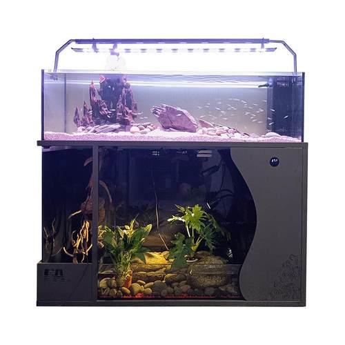 客厅中大型乌龟金鱼一体混养水陆两栖溪流缸底滤免换水造景生态缸 - 图3