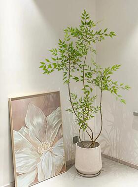 Z1南天竹彷真绿色植物大型彷生植物高端轻奢假盆栽客厅装饰摆件花