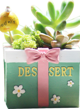 如果创意多肉花盆仿多材质园艺微景观办公室盆栽搭配摆件