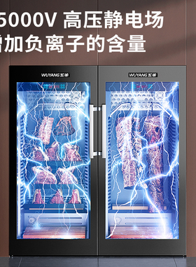 五羊牛肉熟成柜排酸干式冷冻冷藏米其林酒店风冷大容量双门展示柜