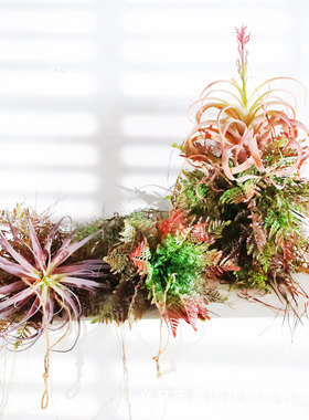 手工创意厥叶植物吊饰空中悬挂饰墙上挂件客厅橱窗植物角阳台装饰