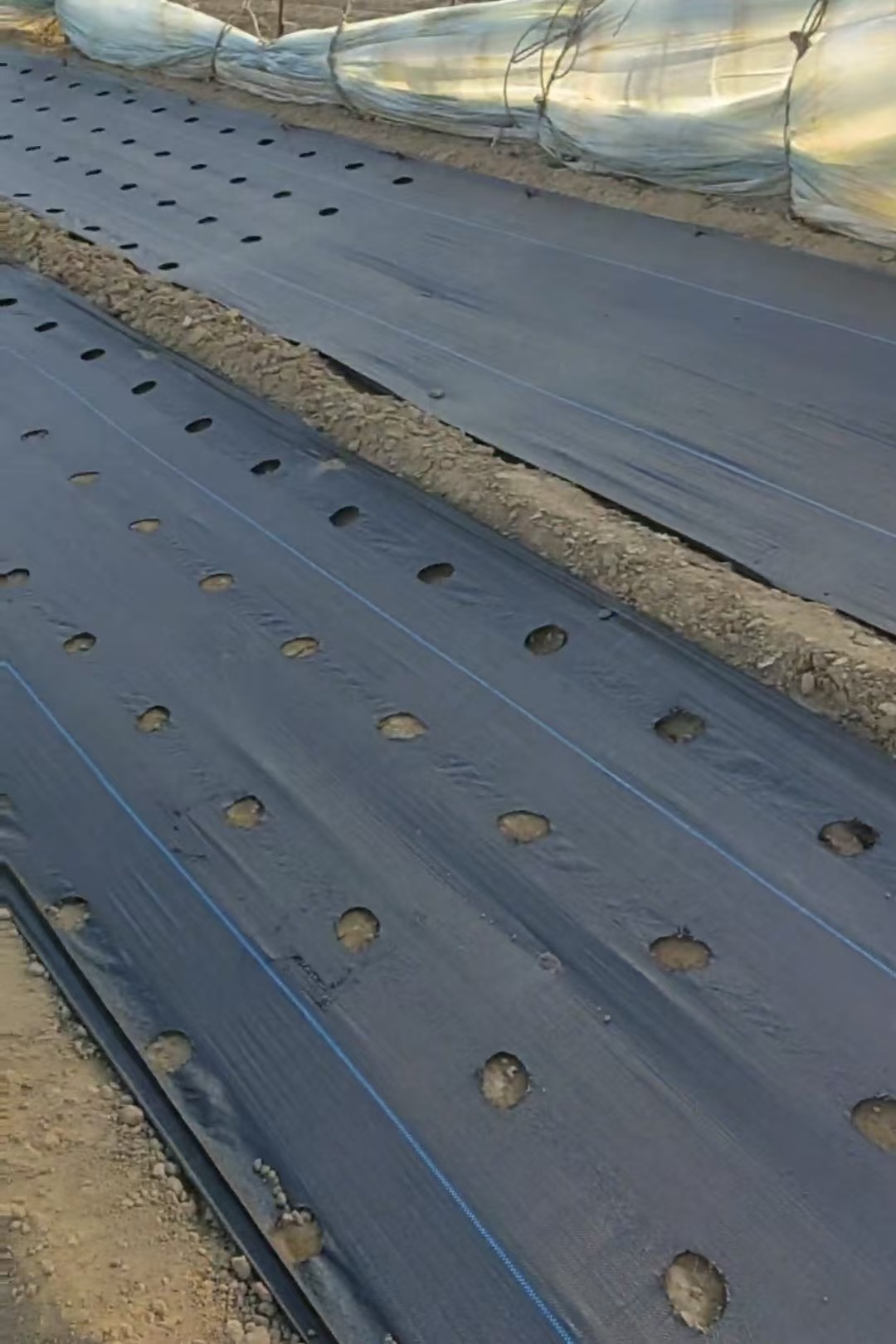 防草布除草布耐用遮草布果园果树专用批发厂家耐用抗老化1/5年,淘宝优惠券,粉丝福利购,淘宝优惠卷