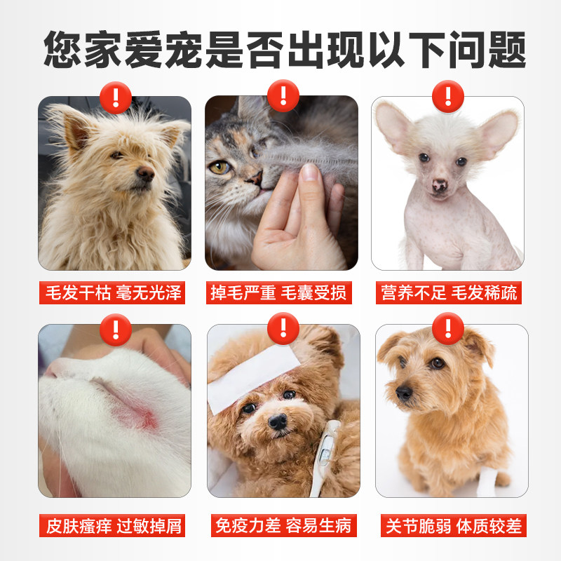 拜达尔乳化鱼油猫咪狗狗防掉毛美毛专用omega3宠物高纯度深海鱼油,淘宝优惠券,粉丝福利购,淘宝优惠卷