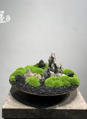 好货新中式陶瓷永生苔藓植物盆微景观酒店会所茶几玄关禅意桌面装