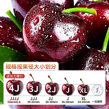 智利车厘子3J原箱4.5斤[40元优惠券]-寻折猪