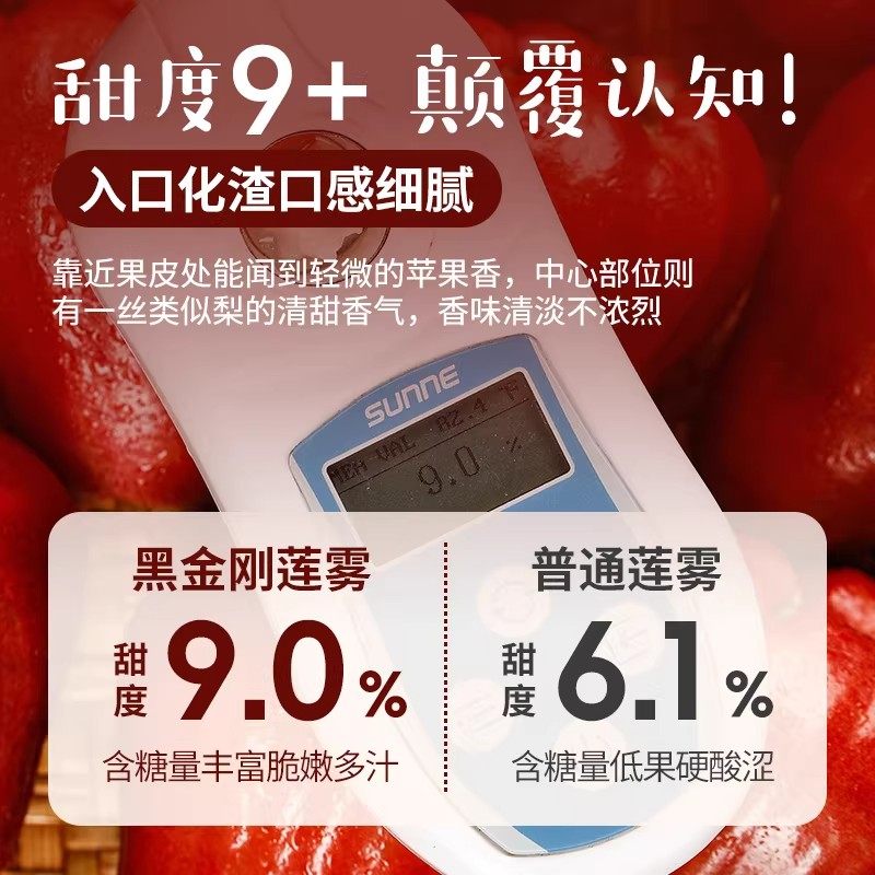 顺丰礼盒海南黑金刚莲雾水果新鲜特大果三亚特产水果当季整箱包邮,淘宝优惠券,粉丝福利购,淘宝优惠卷