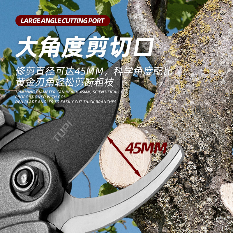修枝剪果树剪树枝绿化苗木剪刀粗枝神器剪树枝剪刀园林园艺园丁剪 - 图3