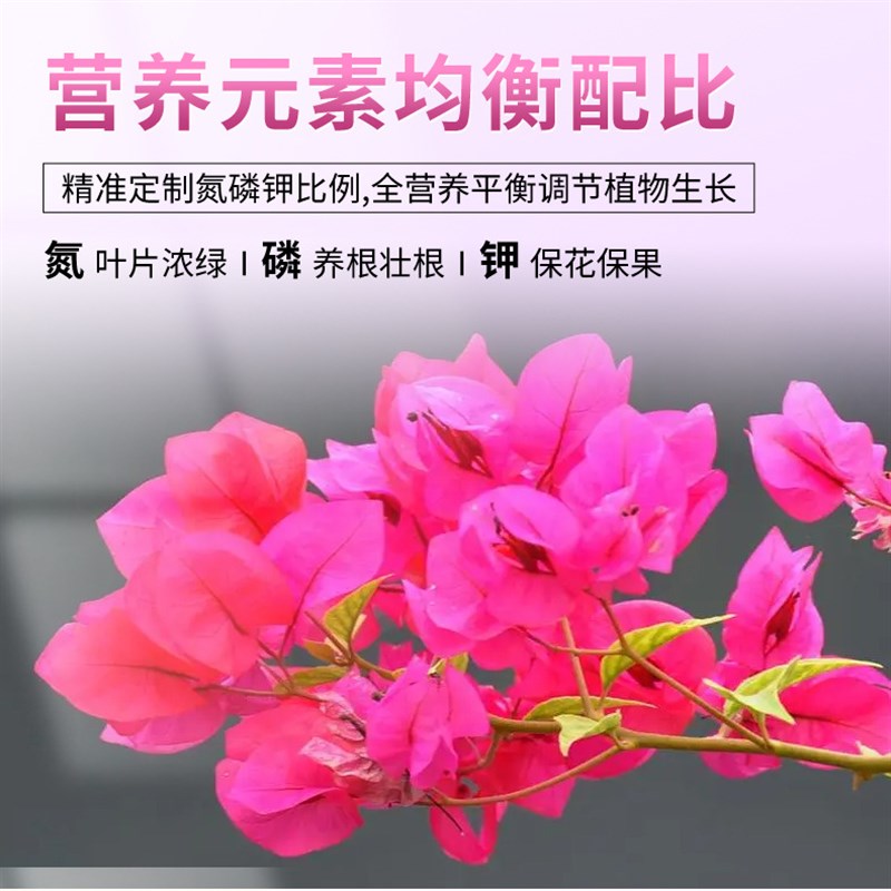 三角梅专用肥料有机肥促花氮磷钾复合肥盆栽养花水溶肥花肥料 - 图1