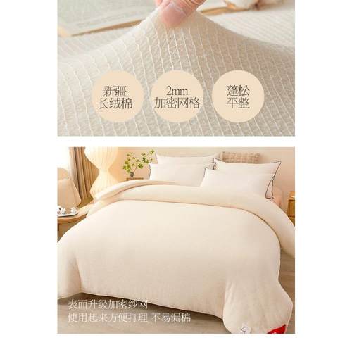 棉被棉被芯带被罩棉花棉絮一级棉花春秋棉被床垫长绒棉四季通用被 - 图1