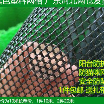 极速阳台防护网儿童安全猫咪窗户网防猫塑料网格围栏护栏网防坠落 - 图1