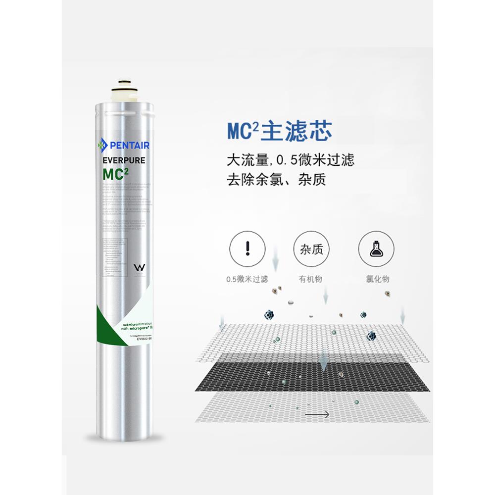 美国爱惠浦MC2净水器双联奶茶店咖啡制冰机大流量直饮商用过滤机 - 图1